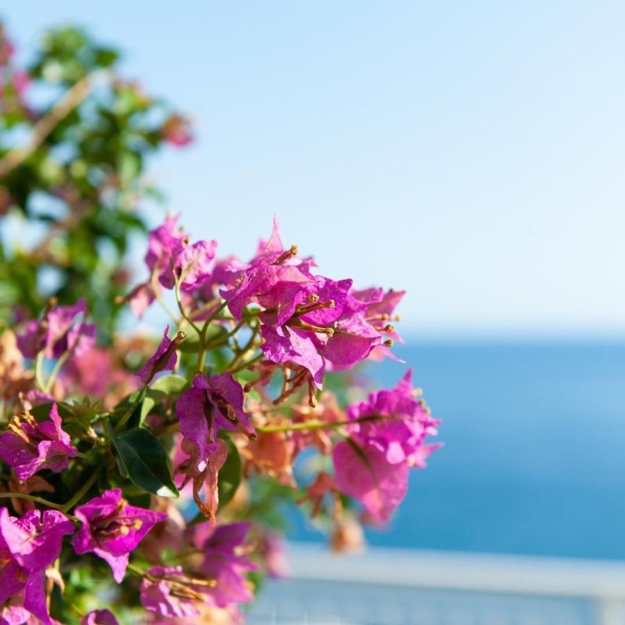 Made In Sicily Santa Tecla Bed & Breakfast Ачиреале Екстериор снимка